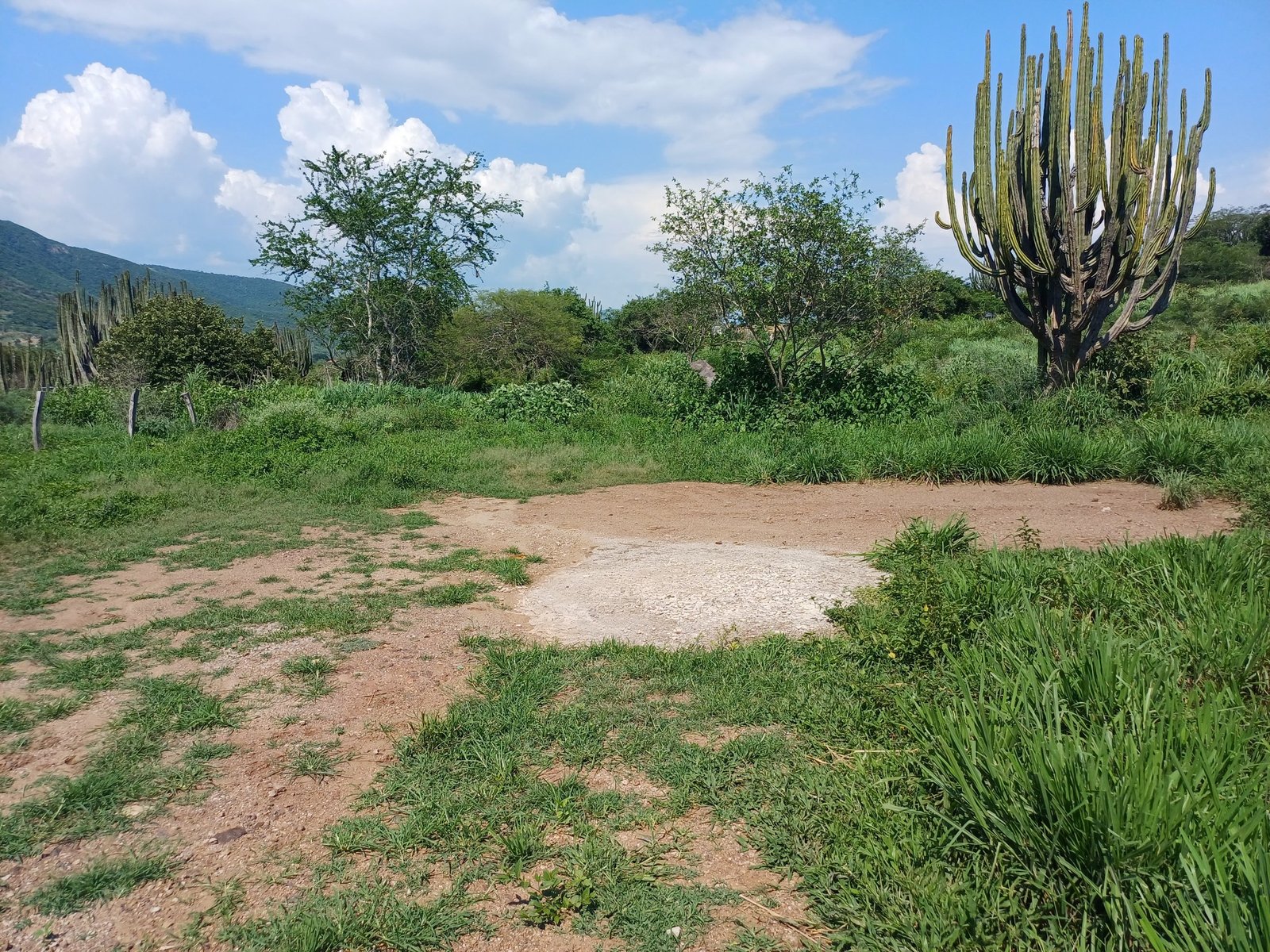 Terreno Rústico Villa